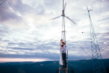 Wedding. Изображение 18242