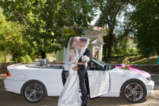 Красивая свадьба. Изображение 18304