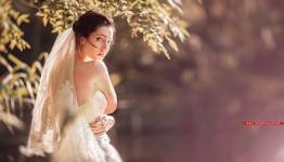 Свадебное. Изображение 18319 Свадебное. Изображение 18319