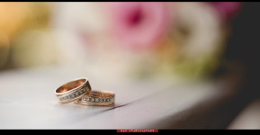 Свадебное. Изображение 18327 Свадебное. Изображение 18327