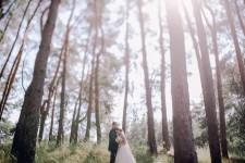 Нежная пудровая свадьба. Изображение 1650