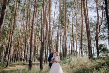 Нежная пудровая свадьба. Изображение 1639