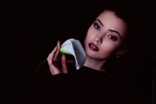 Portfolio. Изображение 18548