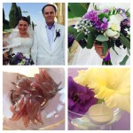 Сиреневая сказка Юрия и Елены Волошиных. Изображение 18567