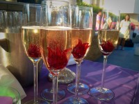 Сиреневая сказка Юрия и Елены Волошиных. Изображение 18565