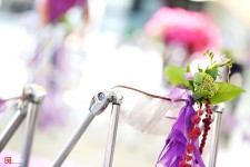 Сиреневая сказка Юрия и Елены Волошиных. Изображение 18564