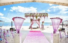 Сиреневая сказка Юрия и Елены Волошиных. Изображение 18562