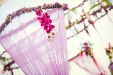 Сиреневая сказка Юрия и Елены Волошиных. Изображение 18569