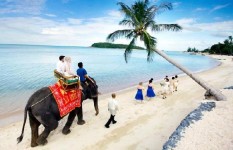 Ваш медовый месяц может быть таким!. Изображение 18676