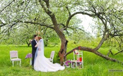 Ягодная свадьба. Изображение 1659