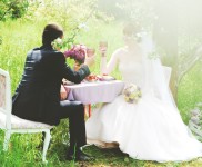 Ягодная свадьба. Изображение 1662