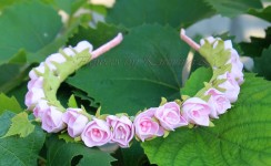 Цветочные аксессуары. Изображение 19156