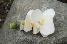 Цветочные аксессуары. Изображение 19162