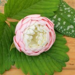 Цветочные аксессуары. Изображение 19165