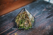 Свадьбы №2. Изображение 19332