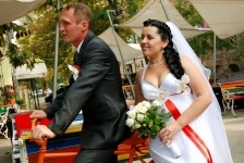 Невесты 3. Изображение 19454