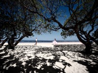 Портфолио. Часть 1. Изображение 52856