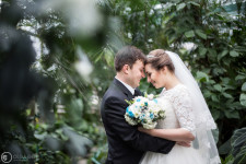 Свадьбы. Изображение 7701