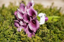 Портфолио. Изображение 19624