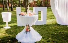 Портфолио. Изображение 19627