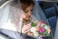 Невесты. Изображение 19852