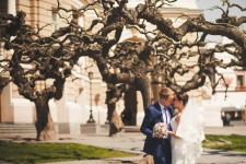 Свадьбы. Изображение 19864