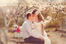 Свадьба. Изображение 31106