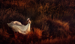 Свадьба. Изображение 31088