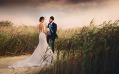 Свадьба. Изображение 31074