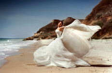 Свадьба. Изображение 31125