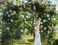 Свадьба. Изображение 31087