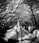 Свадьба. Изображение 31071