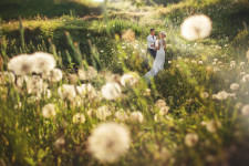 Свадьба. Изображение 31110