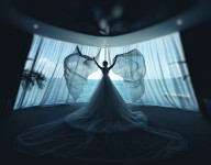 Свадьба. Изображение 31077