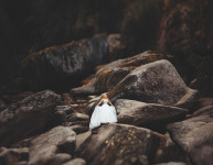 Свадьба. Изображение 31121