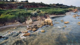 Свадебная фотография. Студия New Line.. Изображение 20423