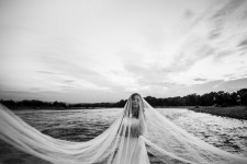 Wedding. Изображение 1798