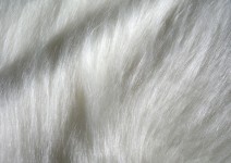 Свадебные меховые накидки, шубки. Изображение 20714 Свадебные меховые накидки, шубки. Изображение 20714