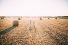 Couples. Изображение 20799