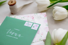 фото. Изображение 25984