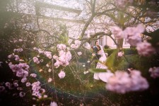 Свадебное фото. Изображение 21705