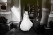 Свадебное фото. Изображение 21694