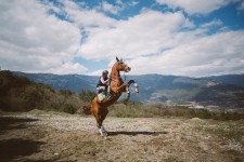 LoveStory. Изображение 21708