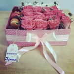 Картоньє. Изображение 21732