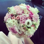 Картоньє. Изображение 21731