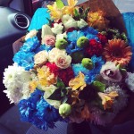 Картоньє. Изображение 21733