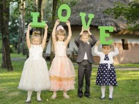 Wedding. Изображение 21783