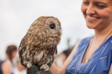 Выездные церемонии. Изображение 21796