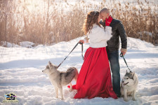 Свадьбы. Изображение 23237