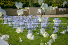 Орхидейная свадьба. Изображение 1967